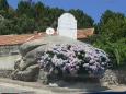 hortensia